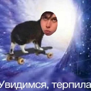 🙄 emoji дикси спидозница Telegram sticker 19 of 29
