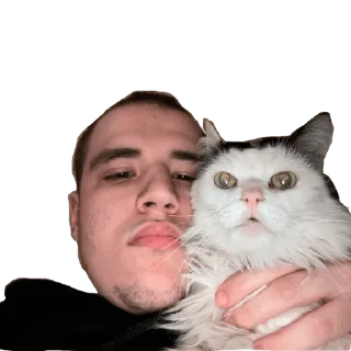😺 emoji Идиоты Telegram sticker 6 of 109