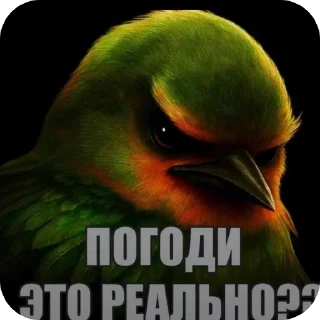 Sticker from Зелёные птички