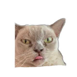😛 emoji Тина и луна две крашки🫶 Telegram sticker 18 of 31