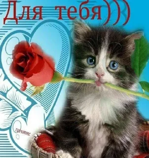 ❤️ emoji херня Telegram sticker 16 of 107