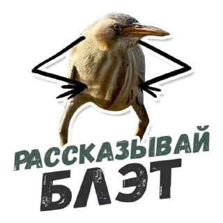 👄 emoji 🙈Are you sure? @stickersb2b Telegram sticker 15 of 21