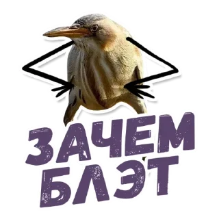 🧐 emoji 🙈Are you sure? @stickersb2b Telegram sticker 20 of 21
