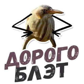 💰 emoji 🙈Are you sure? @stickersb2b Telegram sticker 18 of 21