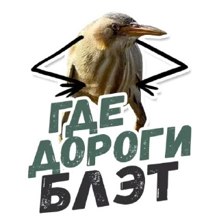 🚗 emoji 🙈Are you sure? @stickersb2b Telegram sticker 16 of 21