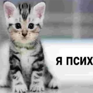 😈 emoji Стикеры 👉🏼 @stickers_gifs0 Telegram sticker 7 of 120