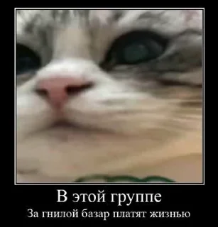 😡 emoji Стикеры 👉🏼 @stickers_gifs0 Telegram sticker 10 of 49