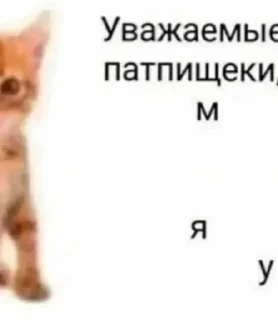 Sticker from меф