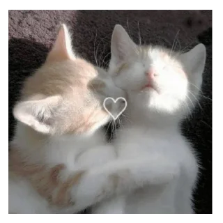 💗 emoji меф Telegram sticker 23 of 107