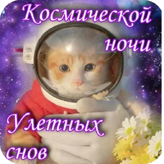 🐱 emoji Mulfs Telegram sticker 11 of 11