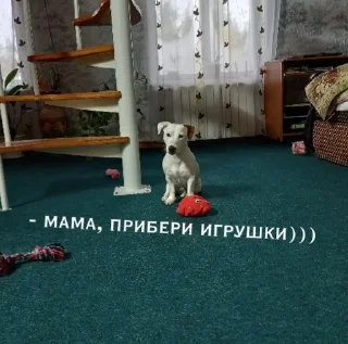 😝 emoji Шерри топ Telegram sticker 19 of 33