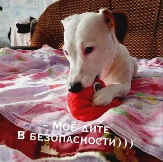😊 emoji Шерри топ Telegram sticker 21 of 33