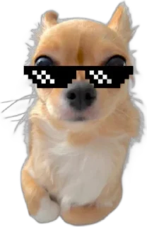 🌟 emoji бэлла хадид Telegram sticker 16 of 24