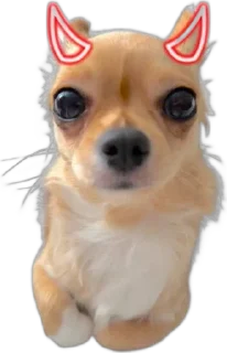 🌟 emoji бэлла хадид Telegram sticker 7 of 24