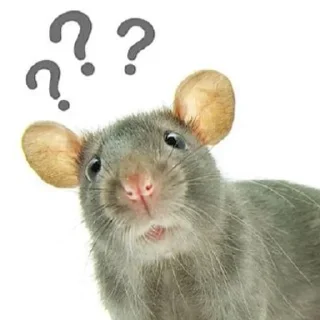 🌟 emoji RatsomeRats2.0 Telegram sticker 7 of 73