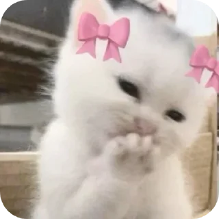 🎀 emoji Emi💋 @TgEmodziBot Telegram sticker 9 of 26