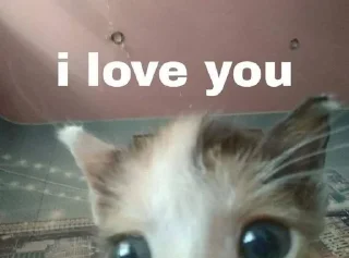 ❤️ emoji мил Telegram sticker 7 of 36