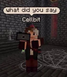 Sticker from qsmp memes pt2 by @aplusls