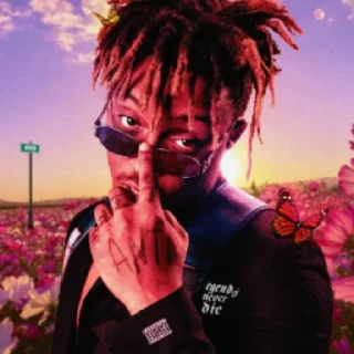 🤠 emoji ⚠️JuiceWRLD stickers PRO🚔 @mobsta999 Telegram sticker 12 of 25