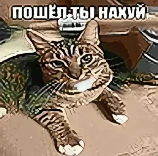 Sticker from пак хирохито@potokvaomine  @fStikBot