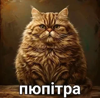 🌟 emoji Пипи @Blinchiki21 Telegram sticker 21 of 93