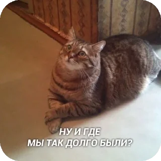 🌟 emoji Белый пушистик Telegram sticker 5 of 87