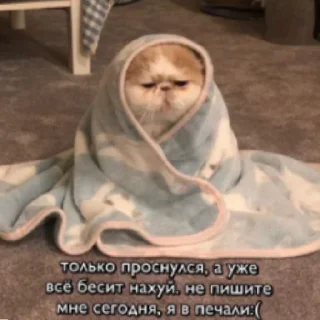 😭 emoji Китики Telegram sticker 20 of 20