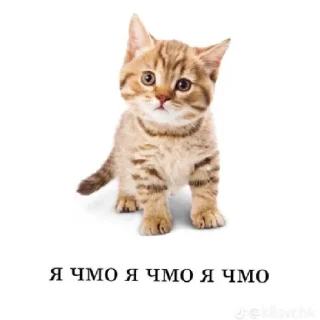 🙃 emoji Китики Telegram sticker 14 of 17