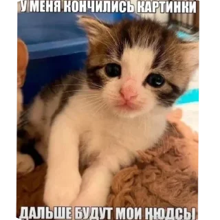 😏 emoji Тупа я Telegram sticker 9 of 78