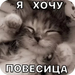 💀 emoji Тупа я Telegram sticker 13 of 78