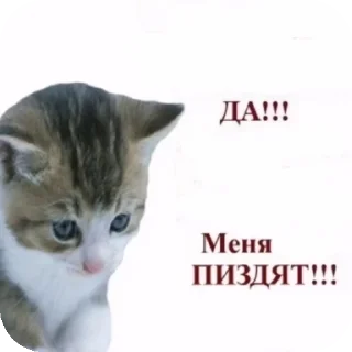 😥 emoji Тупа я Telegram sticker 11 of 78