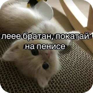 🤭 emoji Тупа я Telegram sticker 4 of 78