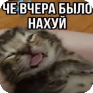 🍾 emoji Тупа я Telegram sticker 24 of 78