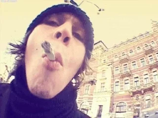 🌟 emoji VilleValo Telegram sticker 11 of 120