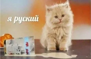 Sticker from кюхтрешпак