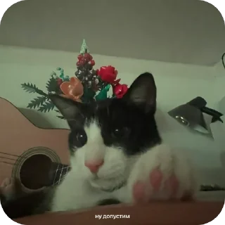 🤓 emoji шкебеде ричик Telegram sticker 11 of 115