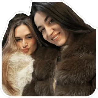 Sticker from miumiu