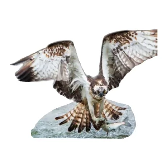 Sticker from Скопа//для Рп и тд