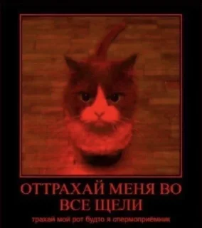 🌟 emoji япускаюповене Telegram sticker 5 of 37