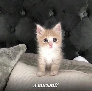 🌟 emoji япускаюповене Telegram sticker 12 of 37