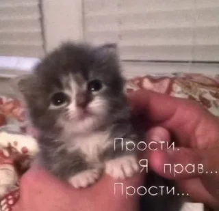 🌟 emoji япускаюповене Telegram sticker 22 of 37