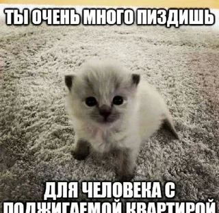 🌟 emoji япускаюповене Telegram sticker 7 of 37