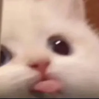 😛 emoji режу телок Telegram sticker 5 of 101