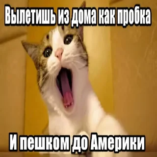 🌟 emoji Создатель Ярослав Telegram sticker 7 of 106