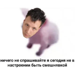 ☹️ emoji данил ким Telegram sticker 12 of 16