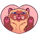😘 emoji Meme Cats Telegram sticker 2 of 35
