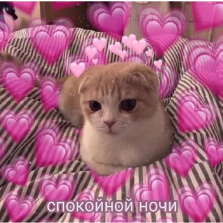 ⚰️ emoji Вафельное настроение Telegram sticker 17 of 50