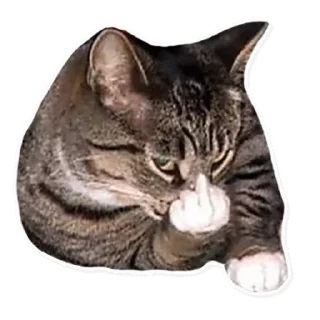🖕 emoji Moy vtoroy Telegram sticker 10 of 114