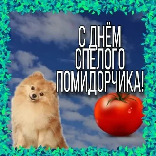 🍅 emoji С днём | by @uffchat Telegram sticker 21 of 104