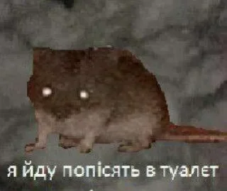 😳 emoji я не придумал Telegram sticker 13 of 81